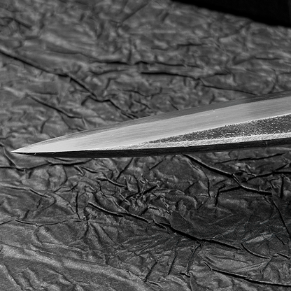 Japanese yanagiba/sashimi knife 270mm HATSUKOKORO  Kurouchi  Aogami2 Blue Steel No.2 polished by Naohito Myojin Single edged (for Right-handed persons)