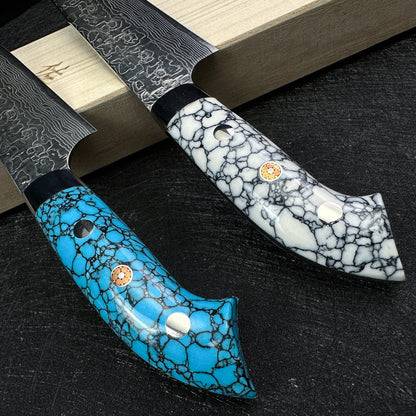 Japanese Takeshi Saji petty knife 130mm R2/SG2 powder steel Mirror damascus knife