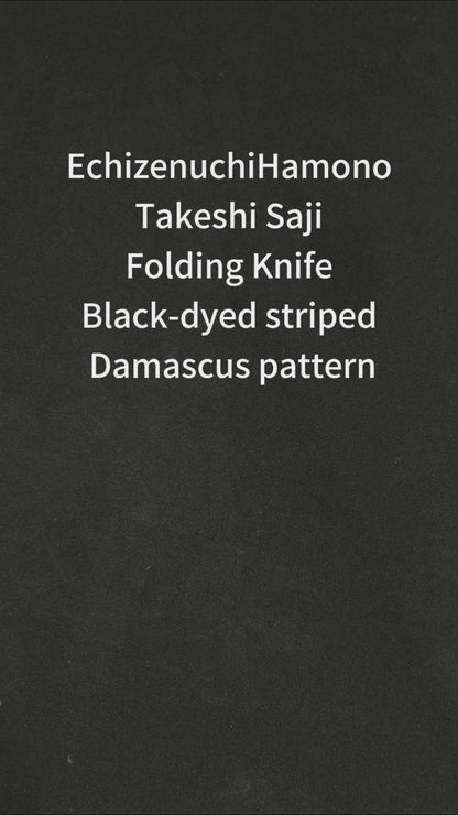 Japanese-origin Takeshi Saji Folding Knife: Damascus SG2 Powdered Steel, Handcrafted, G10 Handle.