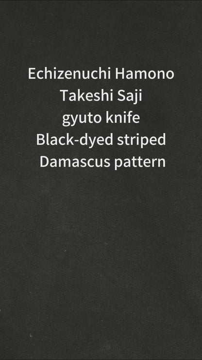 Japanese-origin Takeshi Saji Chef's Knife 240mm   Versatile for household use multi-functional knife for cutting vegetables and meat. Made of Damascus VG10 steel gyuto knife.